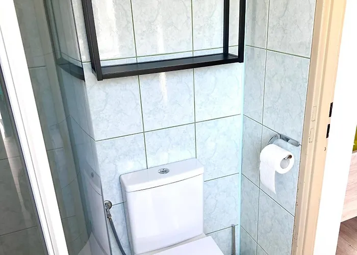 Marion 3* カルパッチ