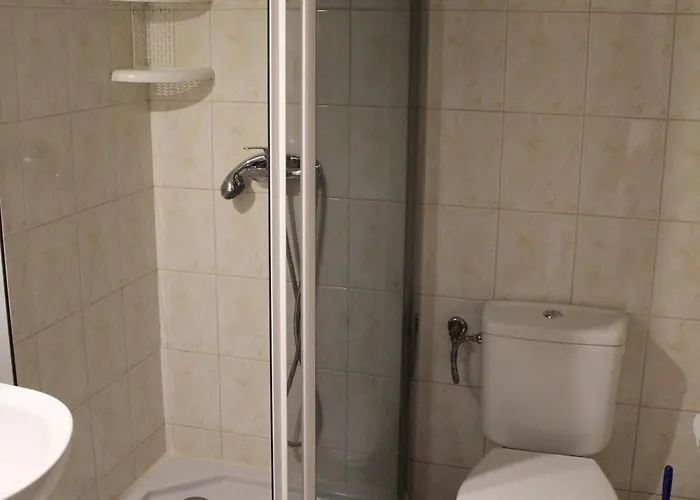 Marion 3* カルパッチ